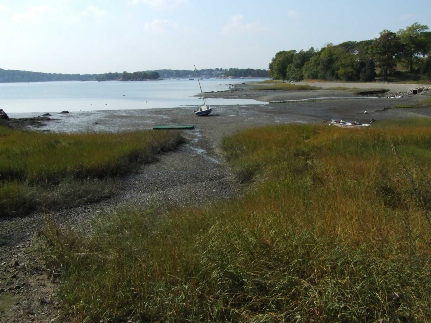 Beach at Low Tide